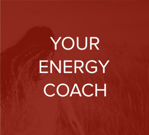 Your Energy Coach